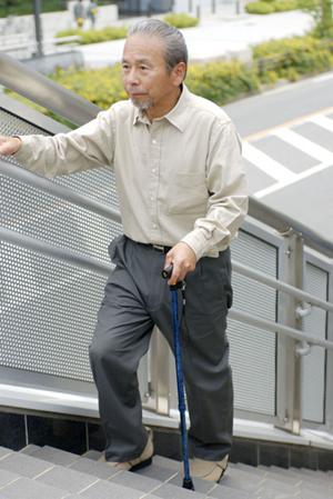 相武台で選ばれる歯医者の秘密と安心のポイント徹底ガイド